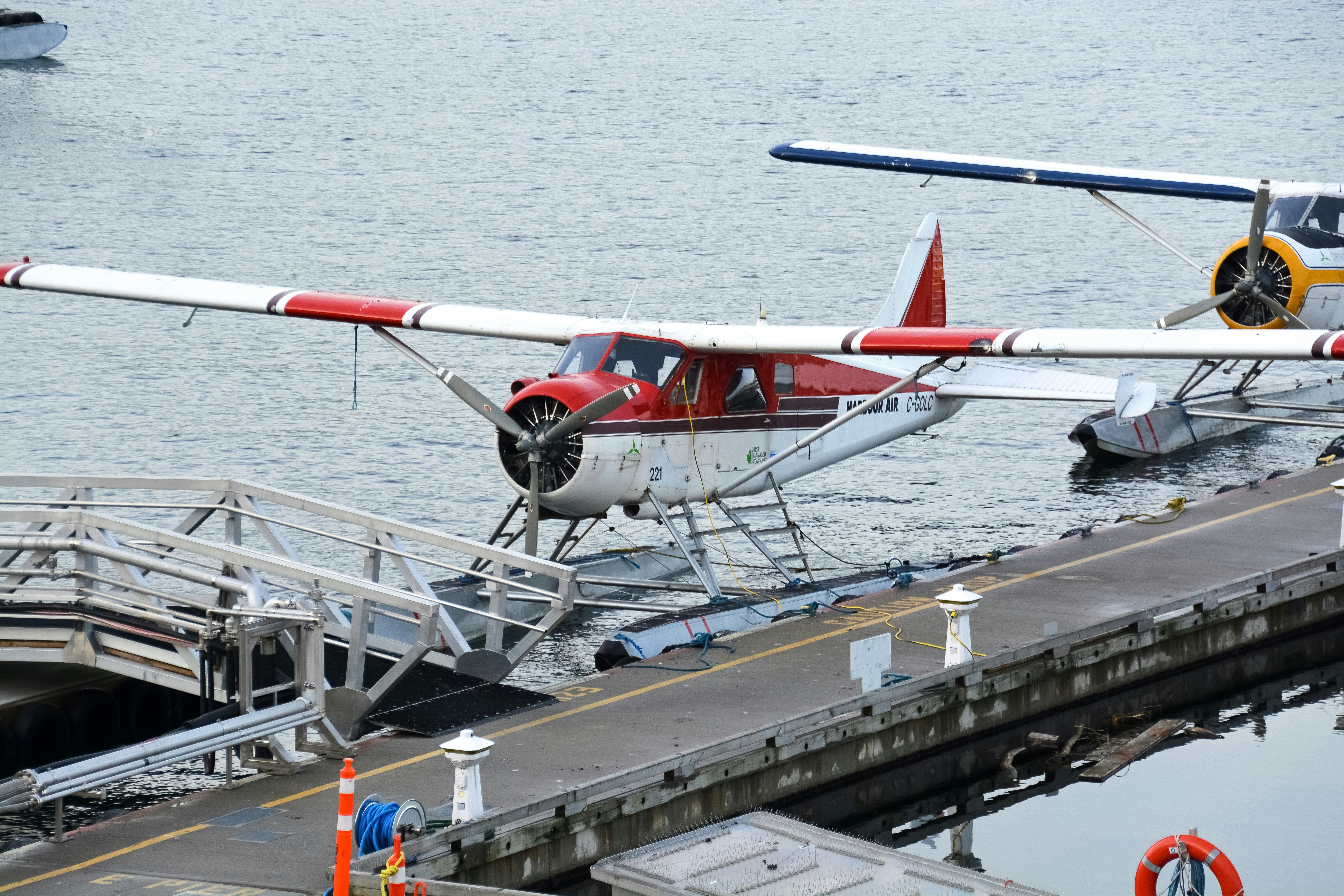 red and white airplane on dock during daytime